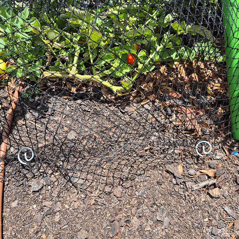 Ground Pins - Image 3